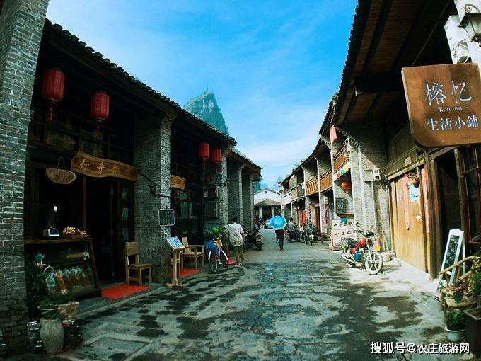 寻找萌小老虎